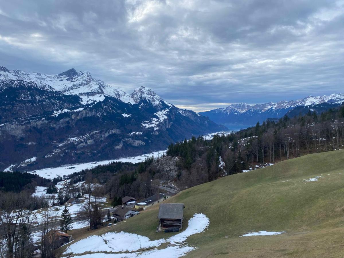 Spring Inn Apartments Meiringen Kültér fotó