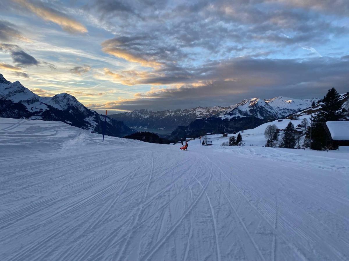 Spring Inn Apartments Meiringen Kültér fotó