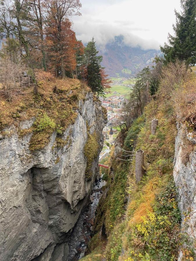 Spring Inn Apartments Meiringen Kültér fotó