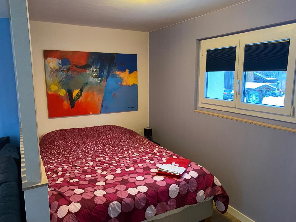 Spring Inn Apartments Meiringen Kültér fotó