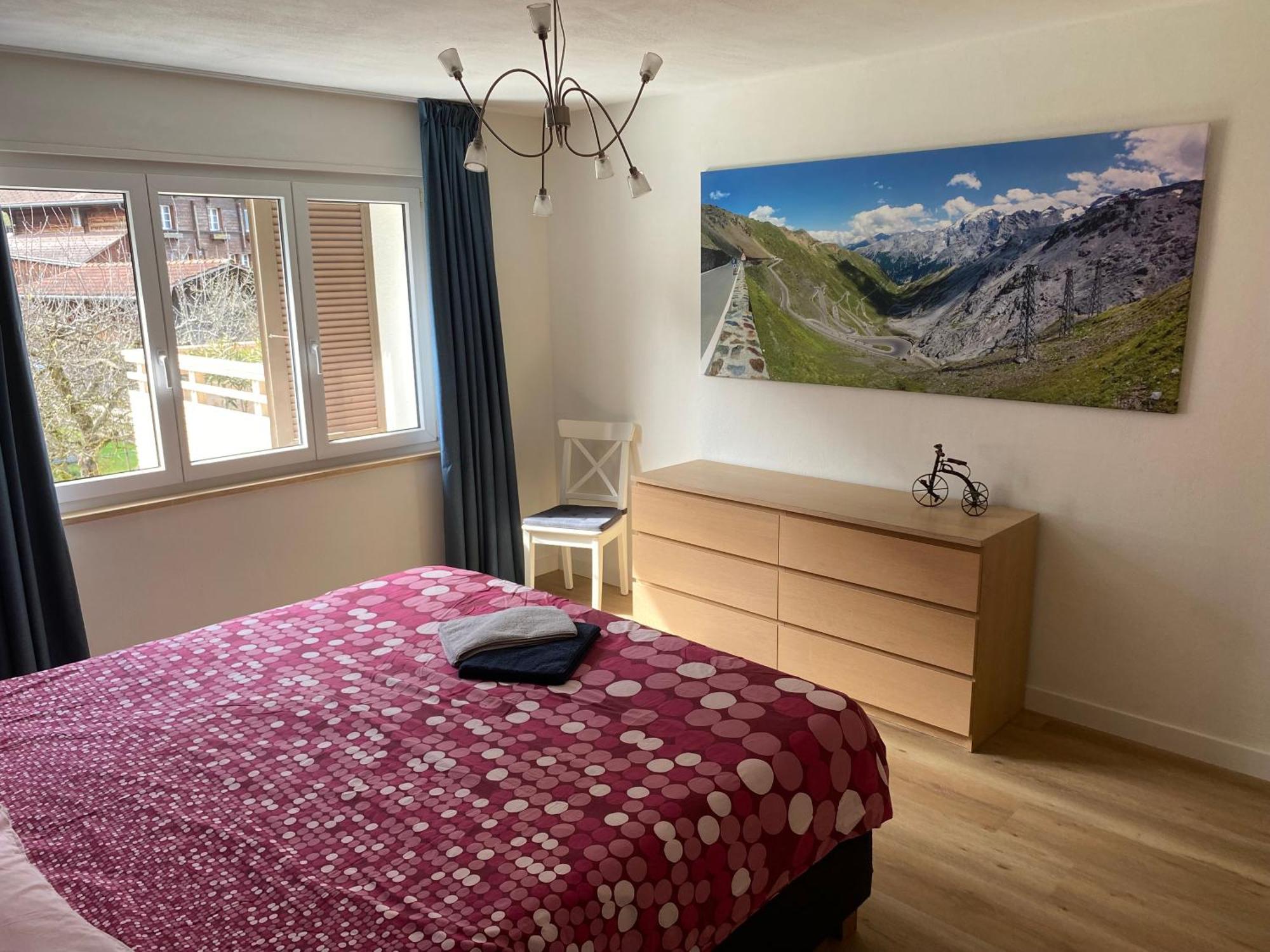 Spring Inn Apartments Meiringen Kültér fotó